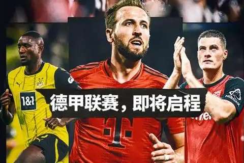 比利时对埃及直播免费观看